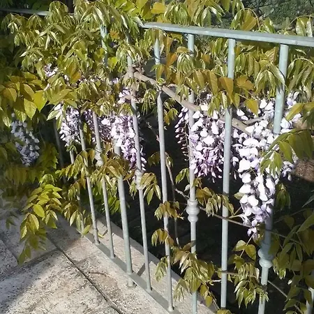 Apartment Le Lantane