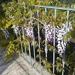 Apartment Le Lantane