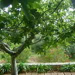 Appartement Le Lantane