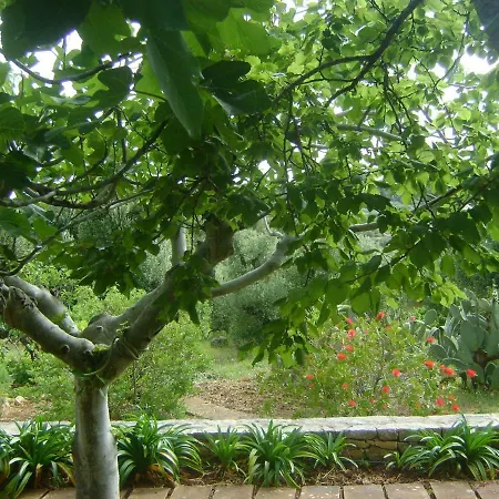 Appartement Le Lantane