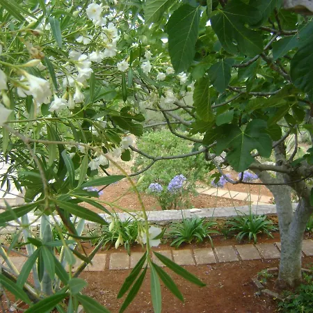 Apartman Le Lantane Cisternino