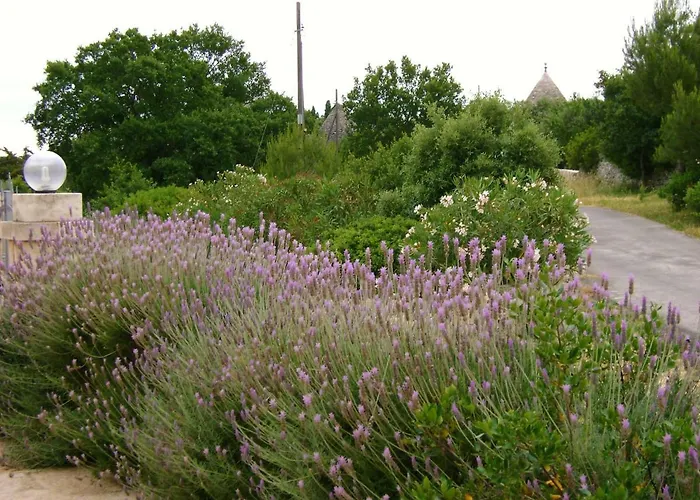 Le Lantane 치스테르니노