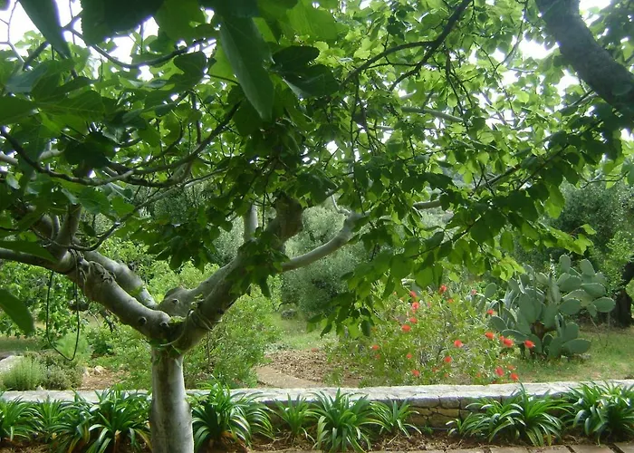 아파트 Le Lantane