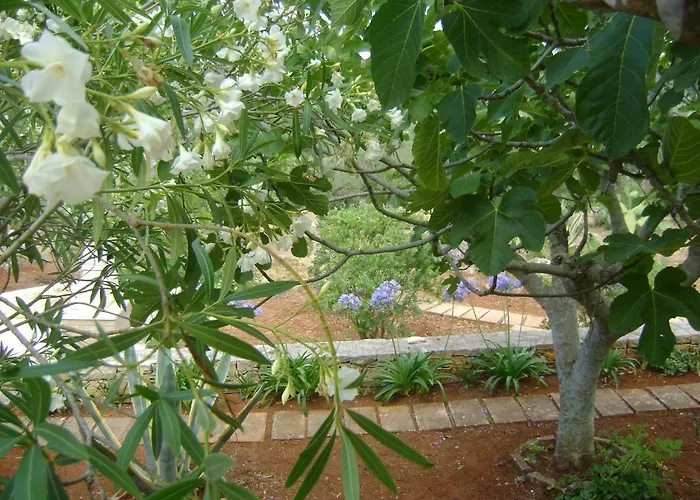 아파트 Le Lantane 치스테르니노